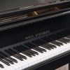 Wilh Steinberg Grand polished black