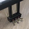 Wilh Steinberg Grand polished black