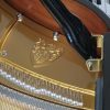 Wilh Steinberg Grand polished black