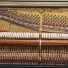 Steinway & Sons Vertegrand in Polished Black