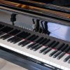 Steinway model M polished black