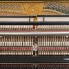 Inside the W Hoffman Upright in Polished Black