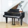 Schimmel 174T Polished Black