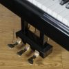 Schimmel 174T Polished Black