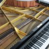 Schimmel 174T Polished Black