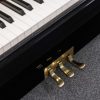 Steinway Essex 116 polished black