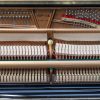 Steinway Essex 116 polished black