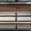 Steinway Essex 116 polished black