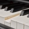 Yamaha P-515B Portable Digital Piano - Black