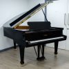 Fazioli Grand Piano in polished black