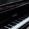 Fazioli Grand Piano Keys