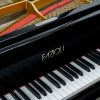Fazioli Grand Piano Keys