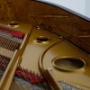 Fazioli Grand Piano Gold Frame