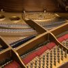 Steinway M Mahogany Interior