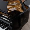 Steinway Model D polished black