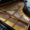 Steinway Model D polished black