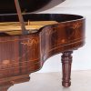 Steinway A Detailing