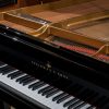 Steinway M in polished black