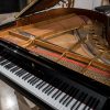 Steinway M in polished black