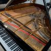 Steinway M in polished black