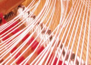 Re-stringing-new-crop-optim