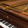 Steinway Model O Polished Mahogany - Keys