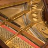 Steinway Model O Polished Mahogany - Frame