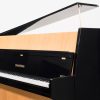 Grotrian steinweg 110 upright - lid & fallboard up