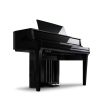 Kawai NV10S Digital Piano