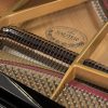 Sauter 185 delta grand piano in polished black