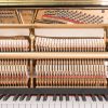 Essex 116 upright piano in polished black