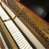 New Schreiner & Sohne 109 Upright Piano