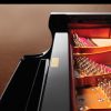 New Shigeru Kawai SK6 Grand Piano