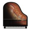 New Yamaha GC1 TA Transacoustic Grand Piano