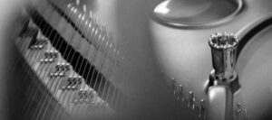 CHP_Header-Image