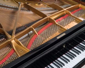 Steinway model D 14079 DSCF4576