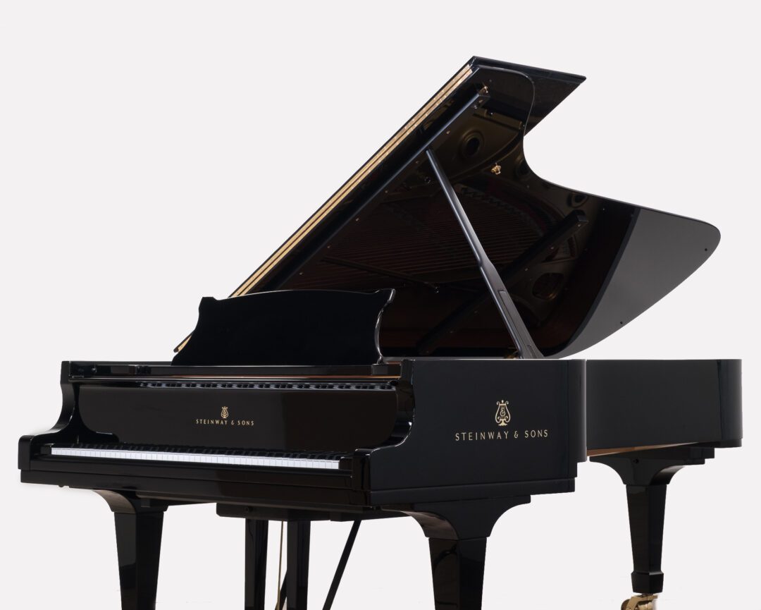 Pianoteq Steinway Model D main image 1