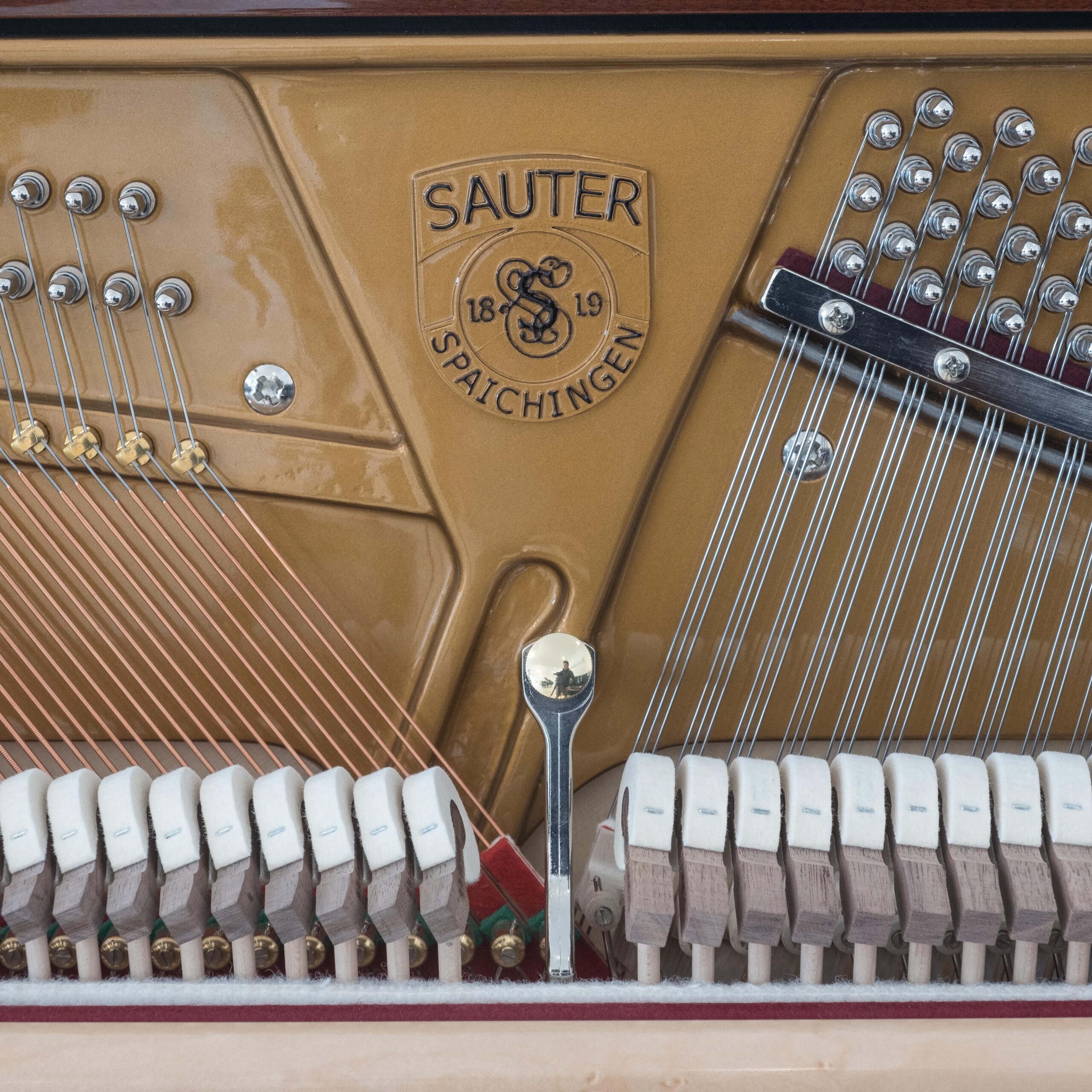 Sauter 130 mahogany 12221 DSCF1489