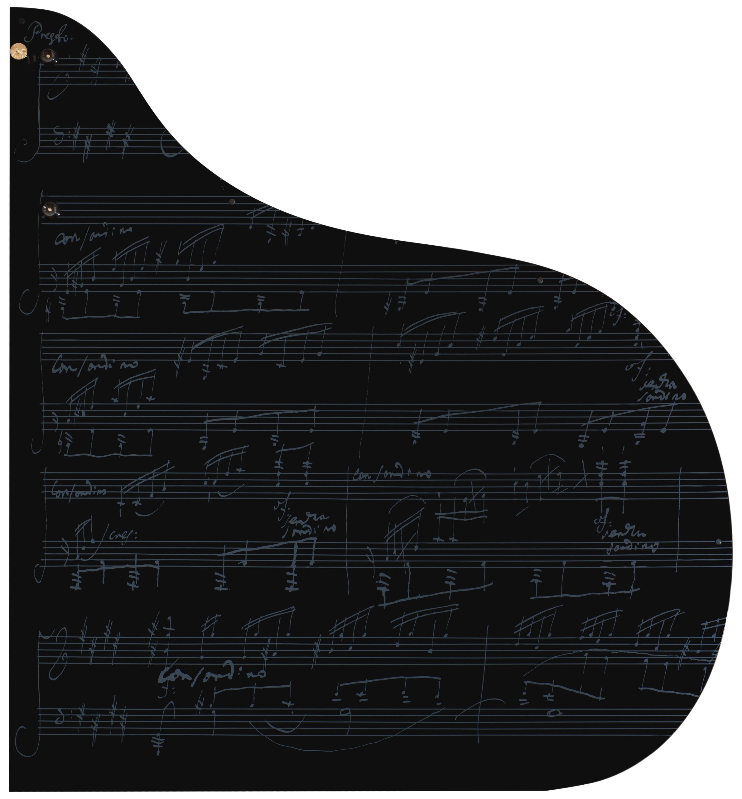 piano lid