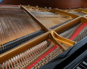Steinway Model M Grand Piano in Black