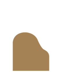 Steinway & Sons Model S Outline
