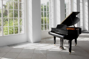 investment-pinao-gallery-04