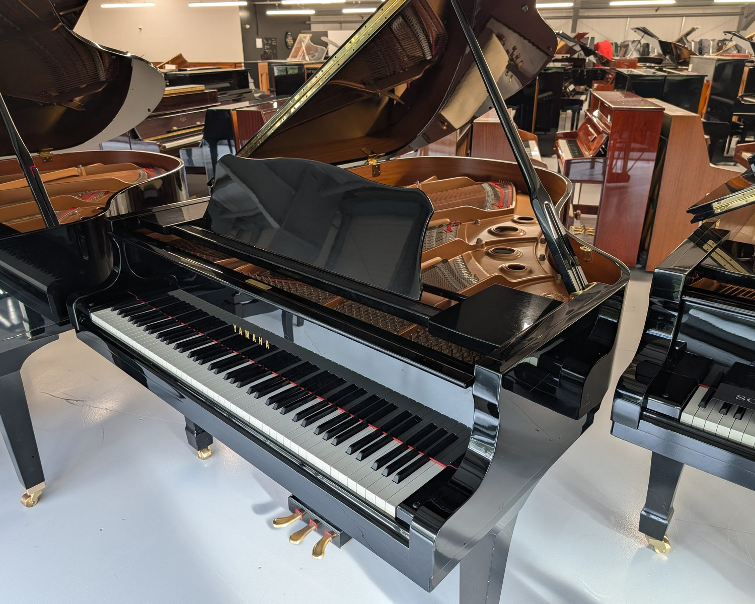 Yamaha C3 Grand Piano - c1998